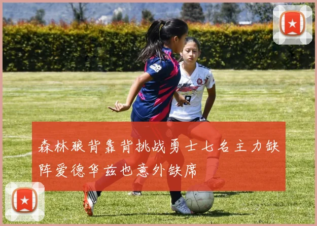 森林狼背靠背挑战勇士七名主力缺阵爱德华兹也意外缺席