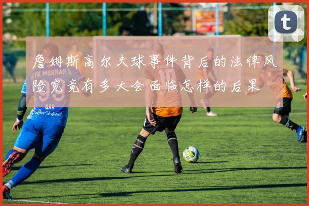 詹姆斯高尔夫球事件背后的法律风险究竟有多大会面临怎样的后果