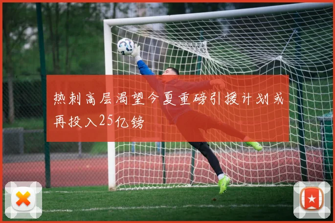 热刺高层渴望今夏重磅引援计划或再投入25亿镑